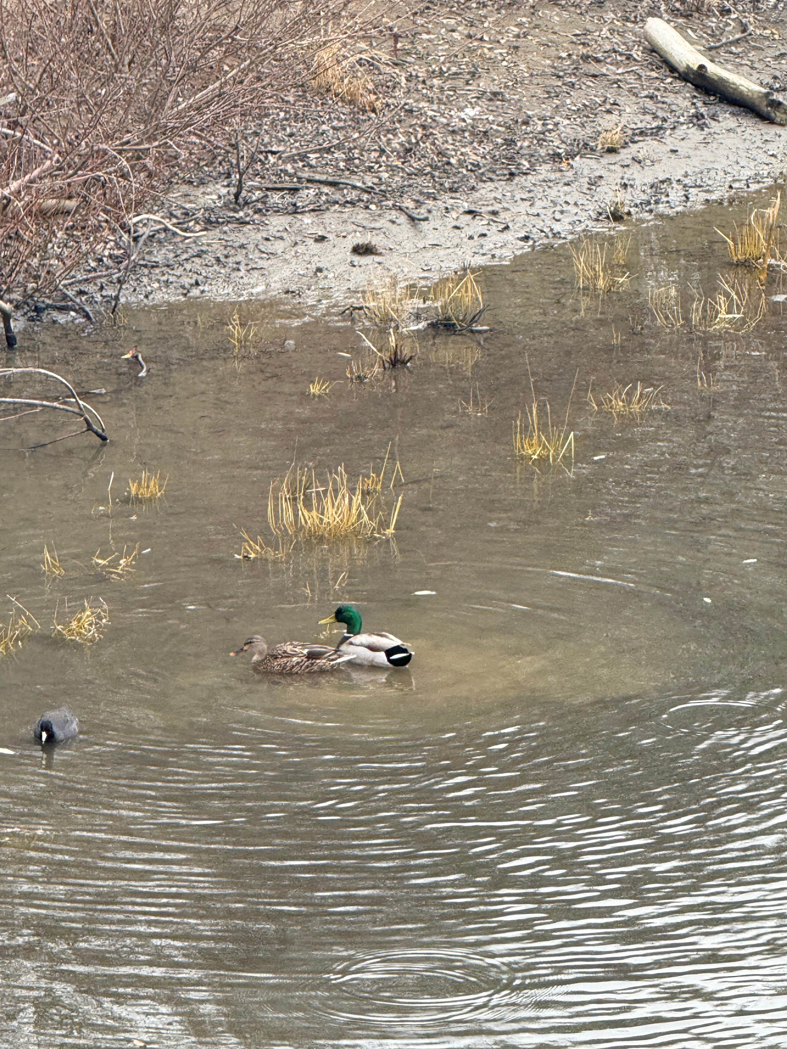 Camper-submitted photo at Creek Tent Campground — Hearst San Simeon State Park near Cambria, CA