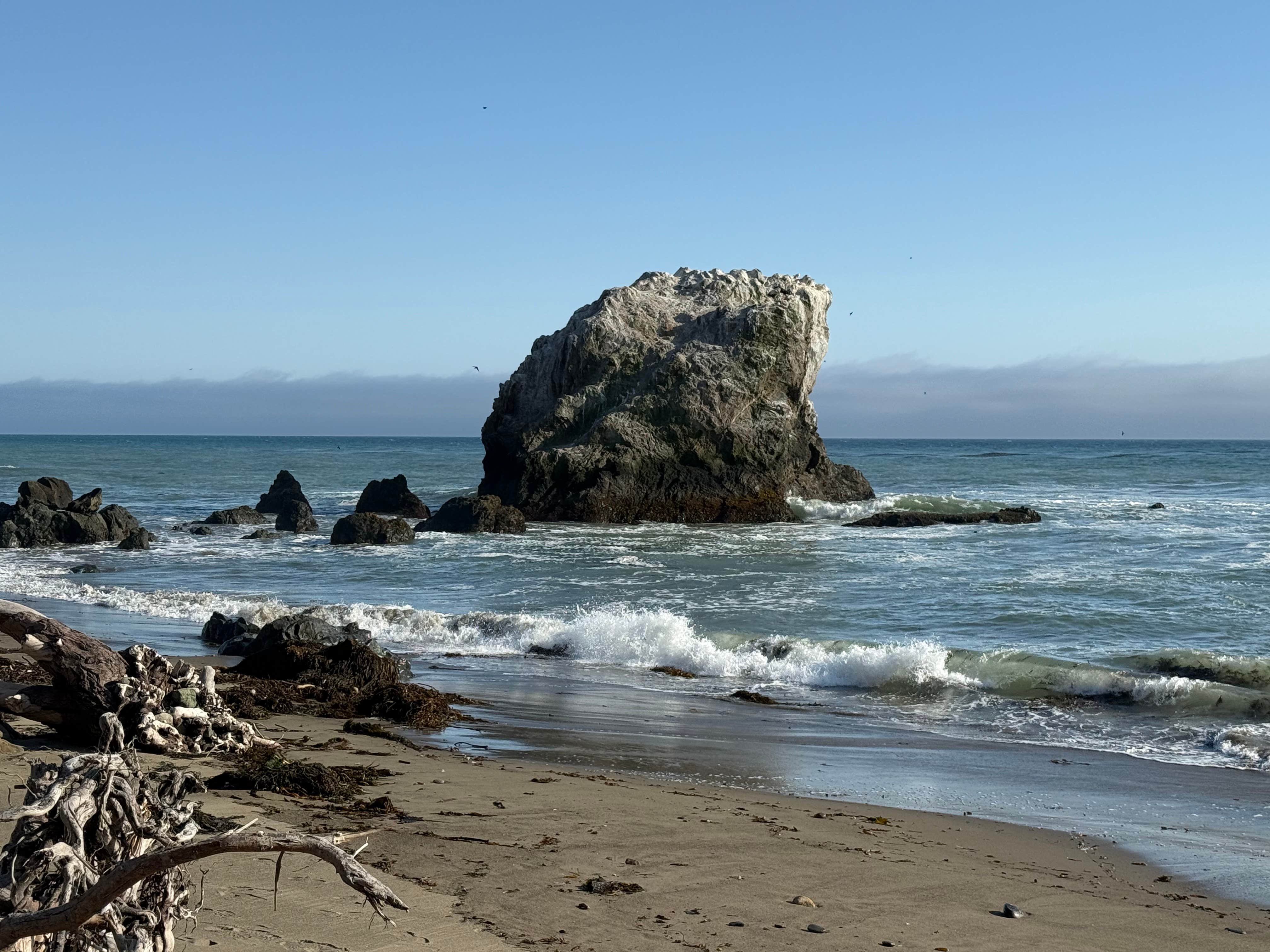 Camper-submitted photo at Creek Tent Campground — Hearst San Simeon State Park near Cambria, CA