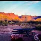 Review photo of Creek Pasture Campground by Ismenia I., November 17, 2025