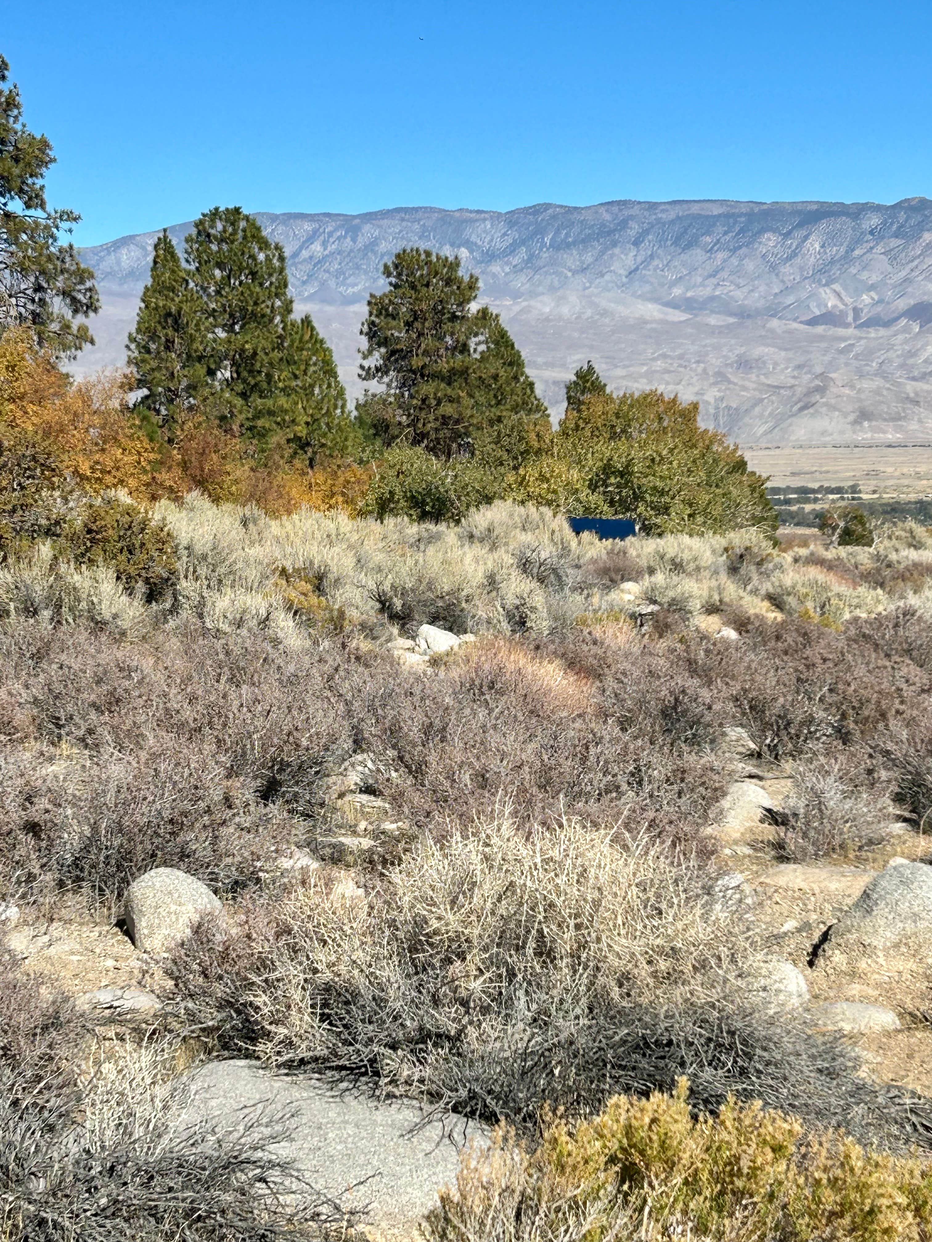 Camping near Jennie Lakes Wilderness Backcountry — Kings Canyon National Park: Creek Side Independence Dispersed 2, Seven Pines, California