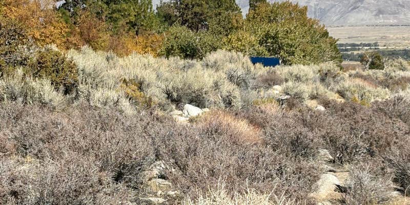 Camper submitted image from Creek Side Independence Dispersed 2