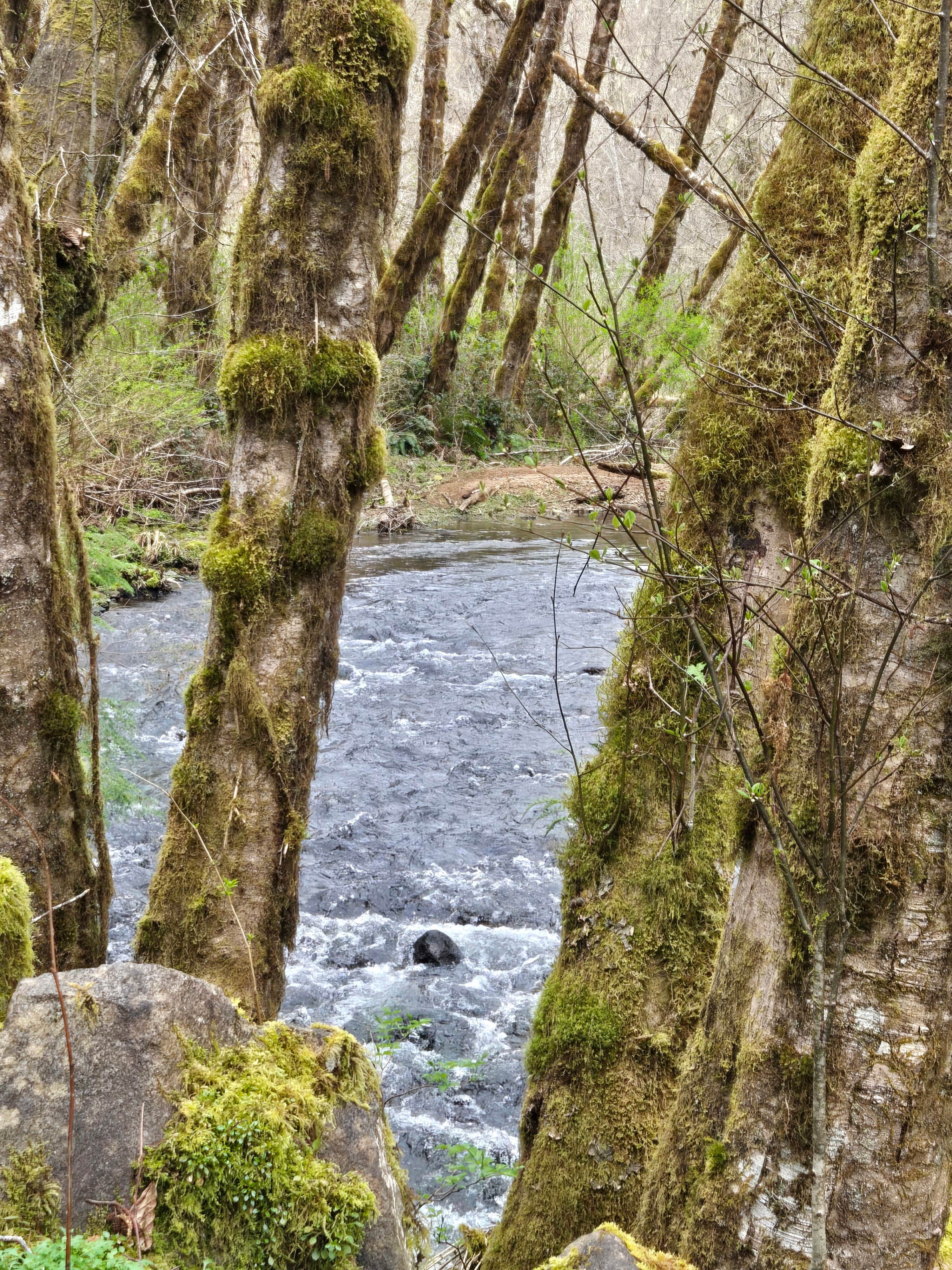 Creekside Camp, Lake creek