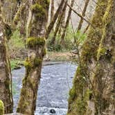 Review photo of Creekside Camp, Lake creek by Andrew , March 29, 2026