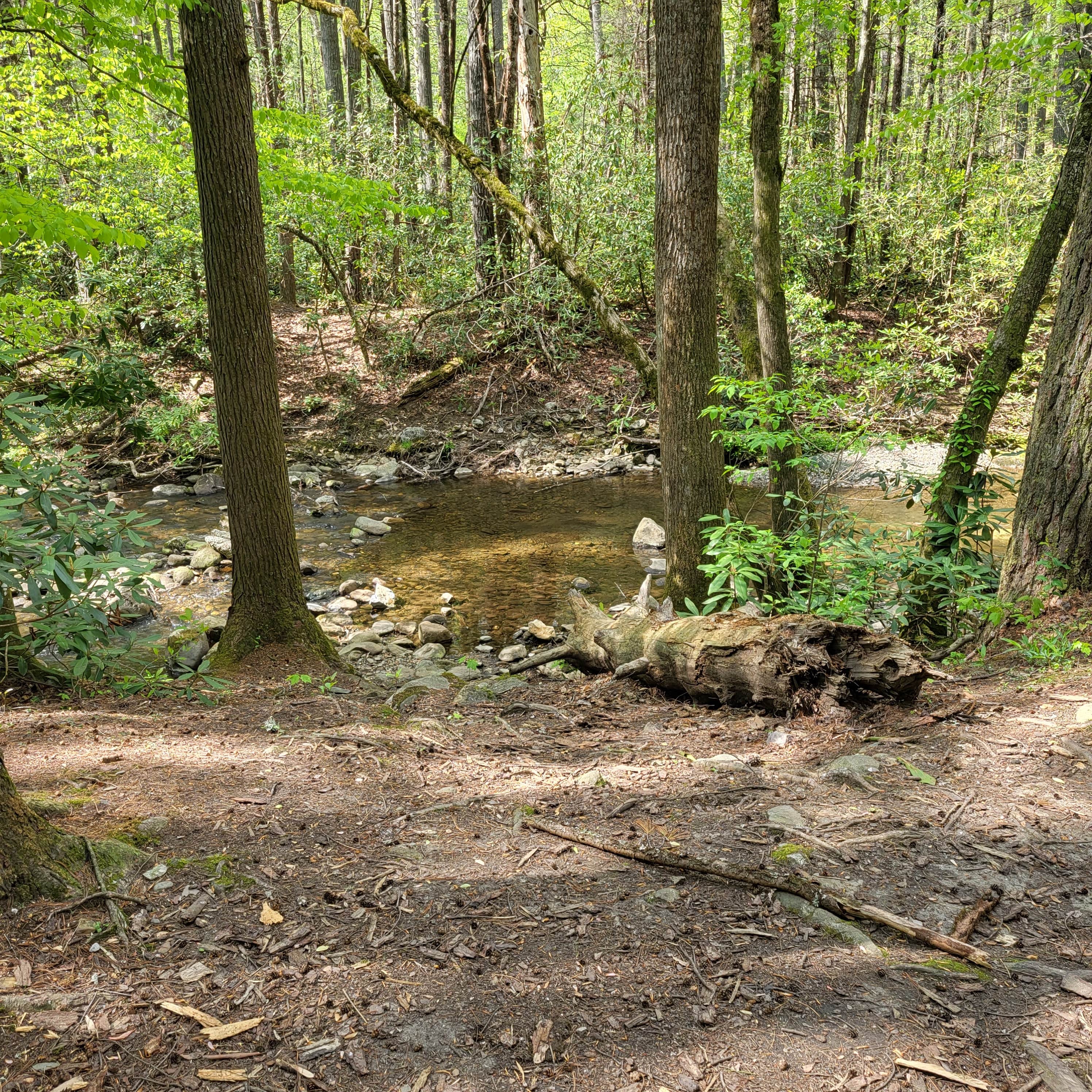 Camper-submitted photo at Creekside Camp near McCaysville, GA