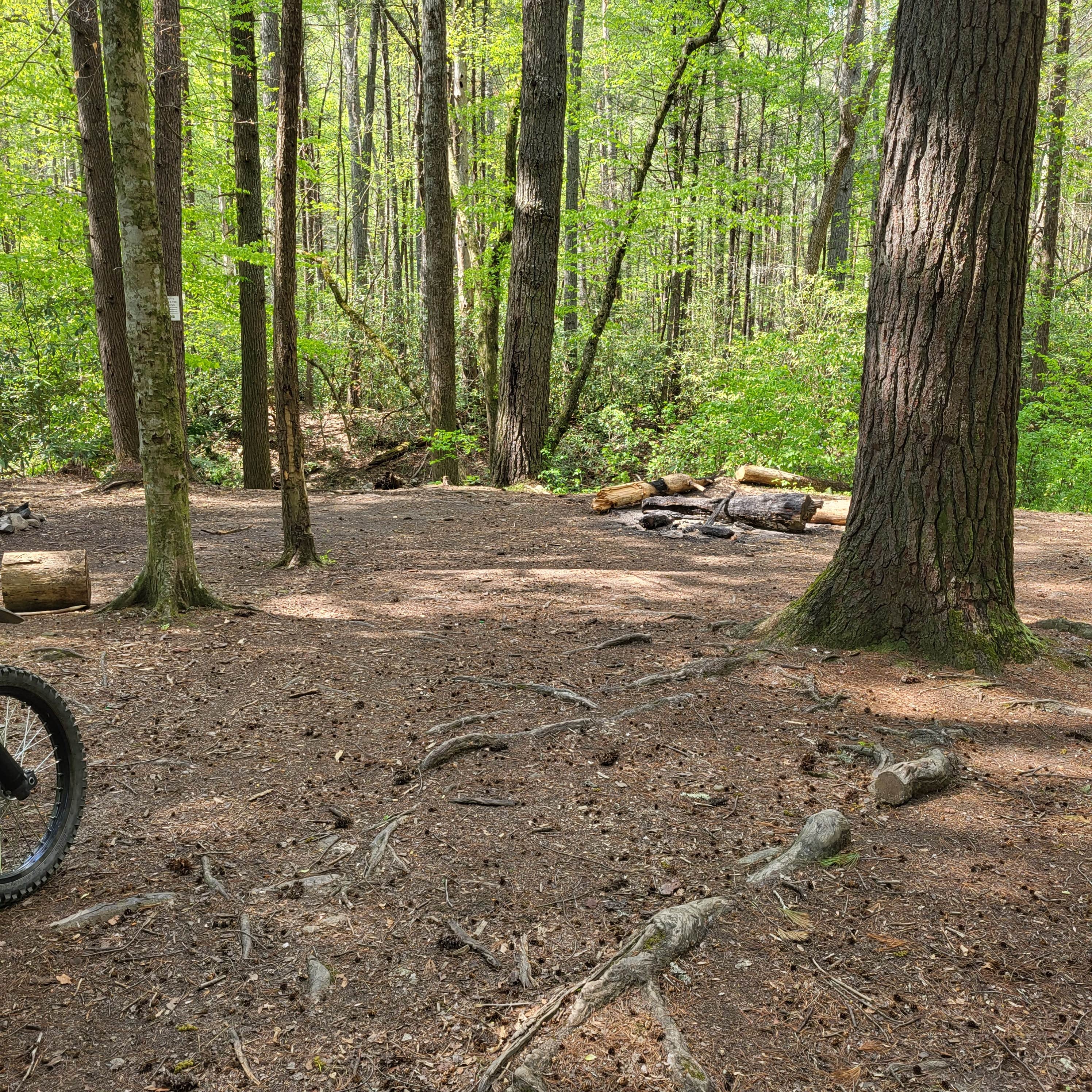 Camper-submitted photo at Creekside Camp near McCaysville, GA