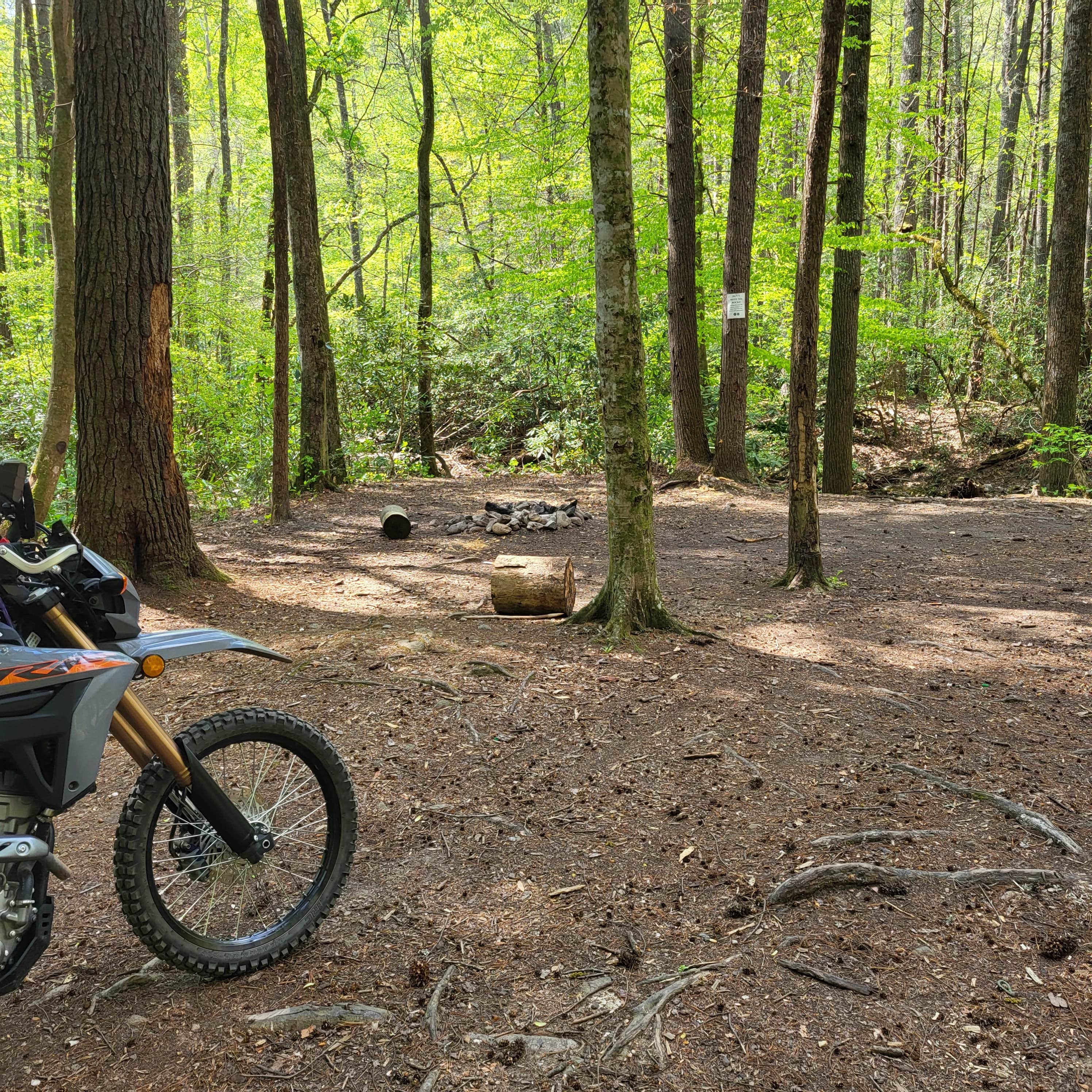 Camper-submitted photo at Creekside Camp near McCaysville, GA