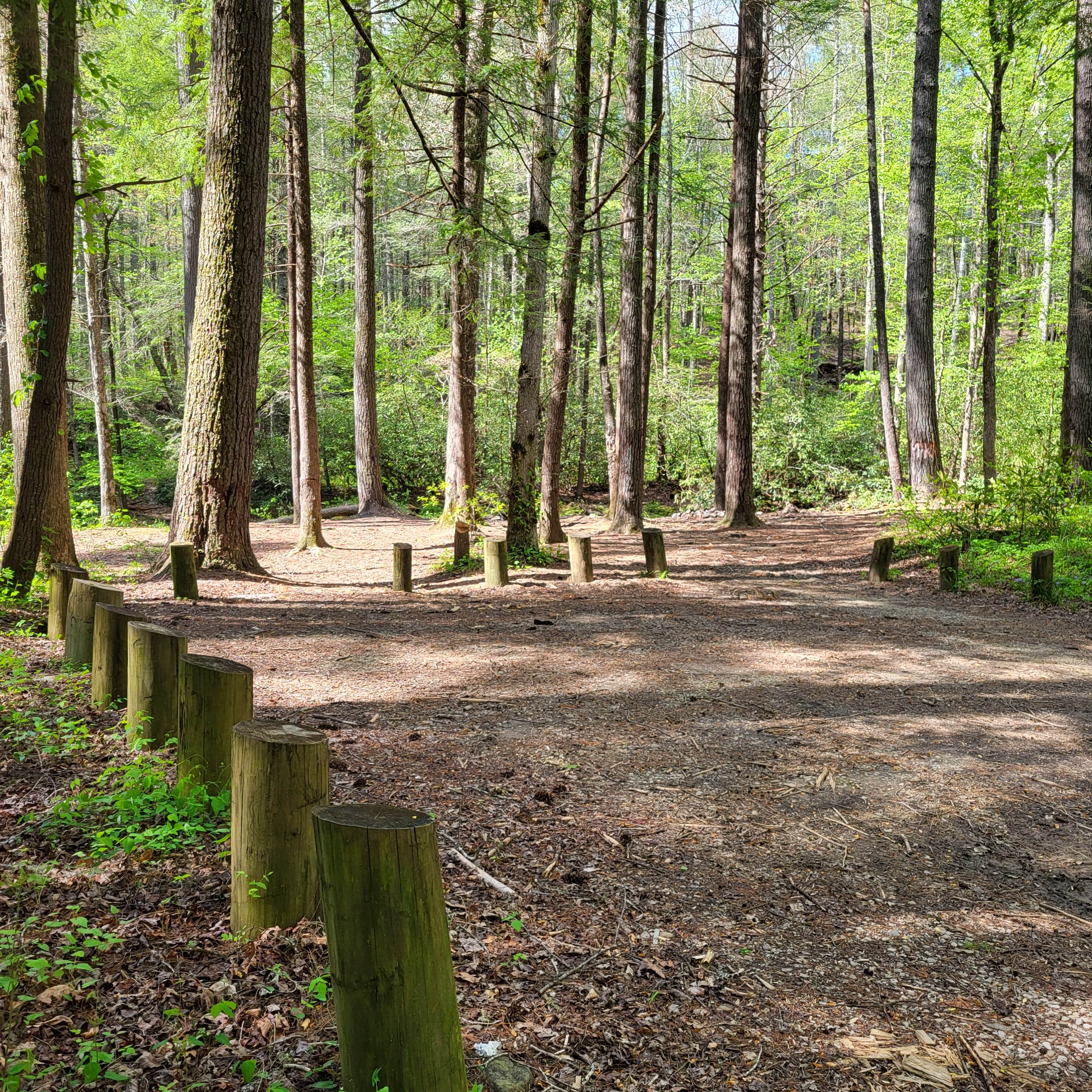 Camper-submitted photo at Creekside Camp near McCaysville, GA