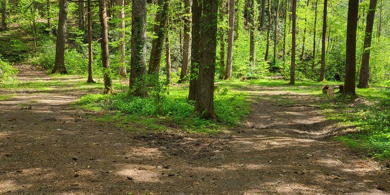 Camper submitted image from Creekside Camp