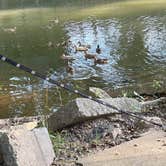 Review photo of Creekside Campground by Talia R., August 5, 2025