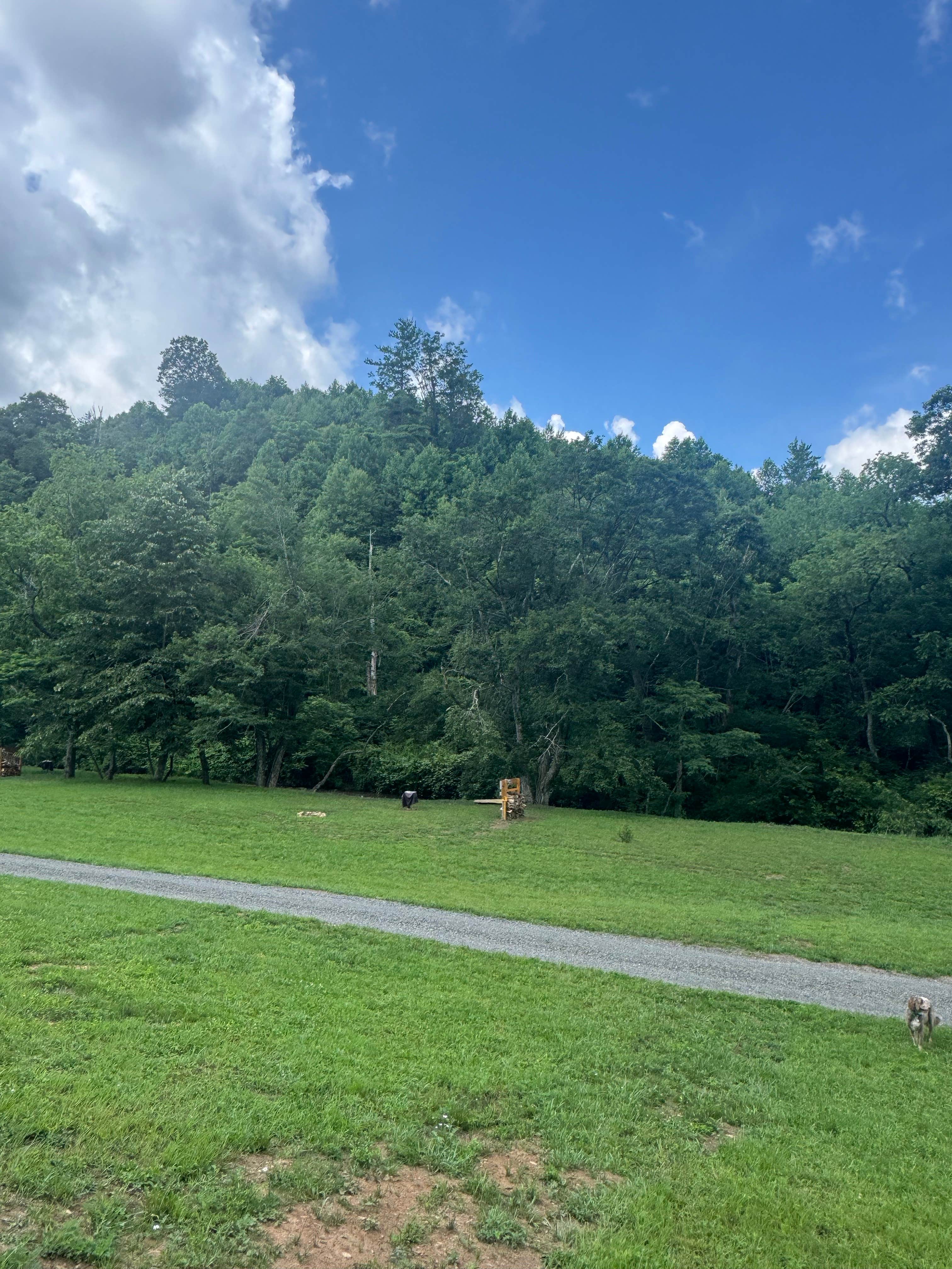 jodee B.'s photo of camping with pets at Creekside Camping near Cana, VA