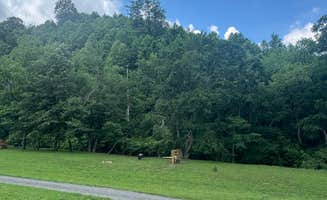 jodee B.'s photo of camping with pets at Creekside Camping near Claudville, VA