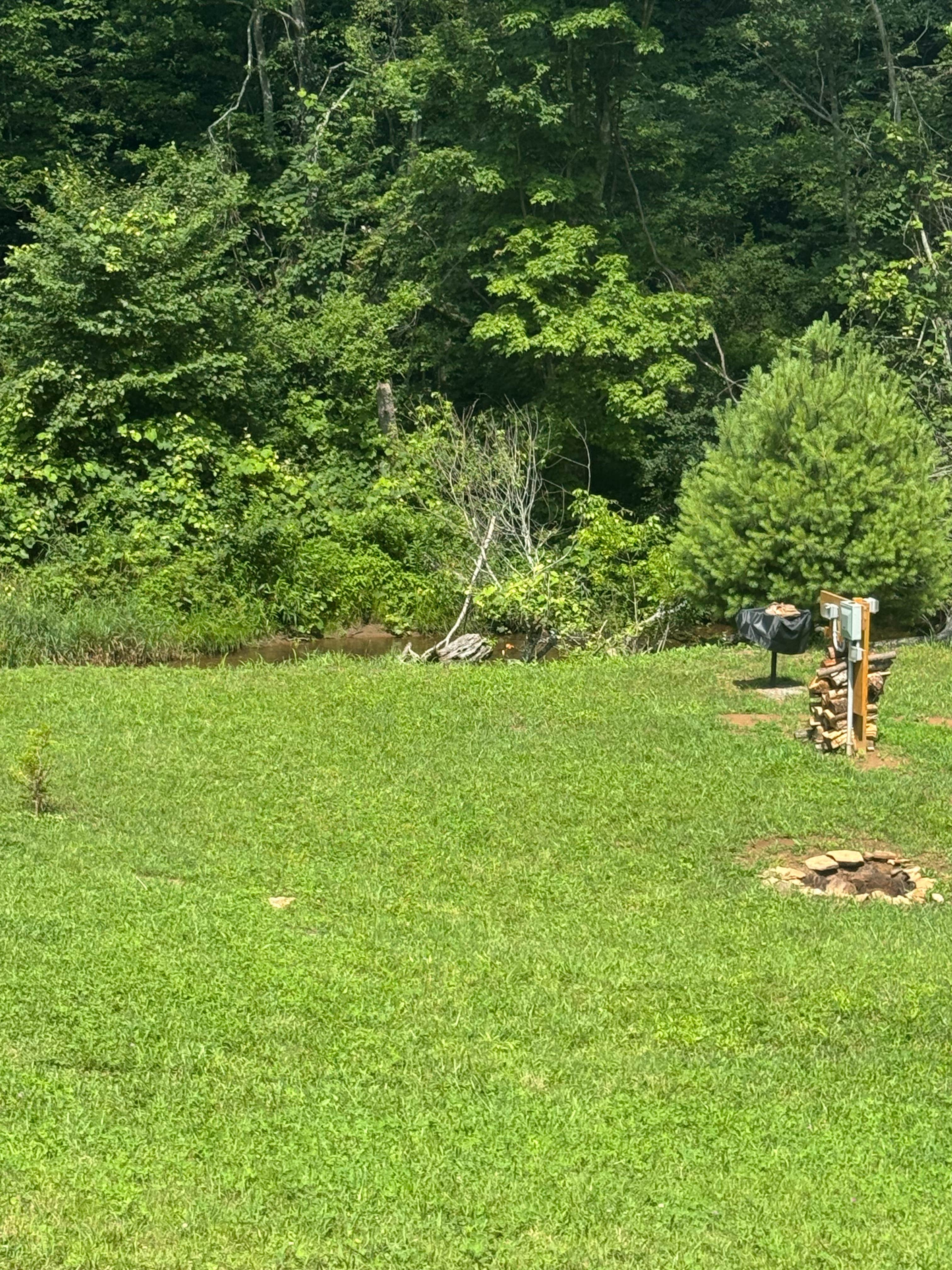 Camper submitted image from Creekside Camping - 5