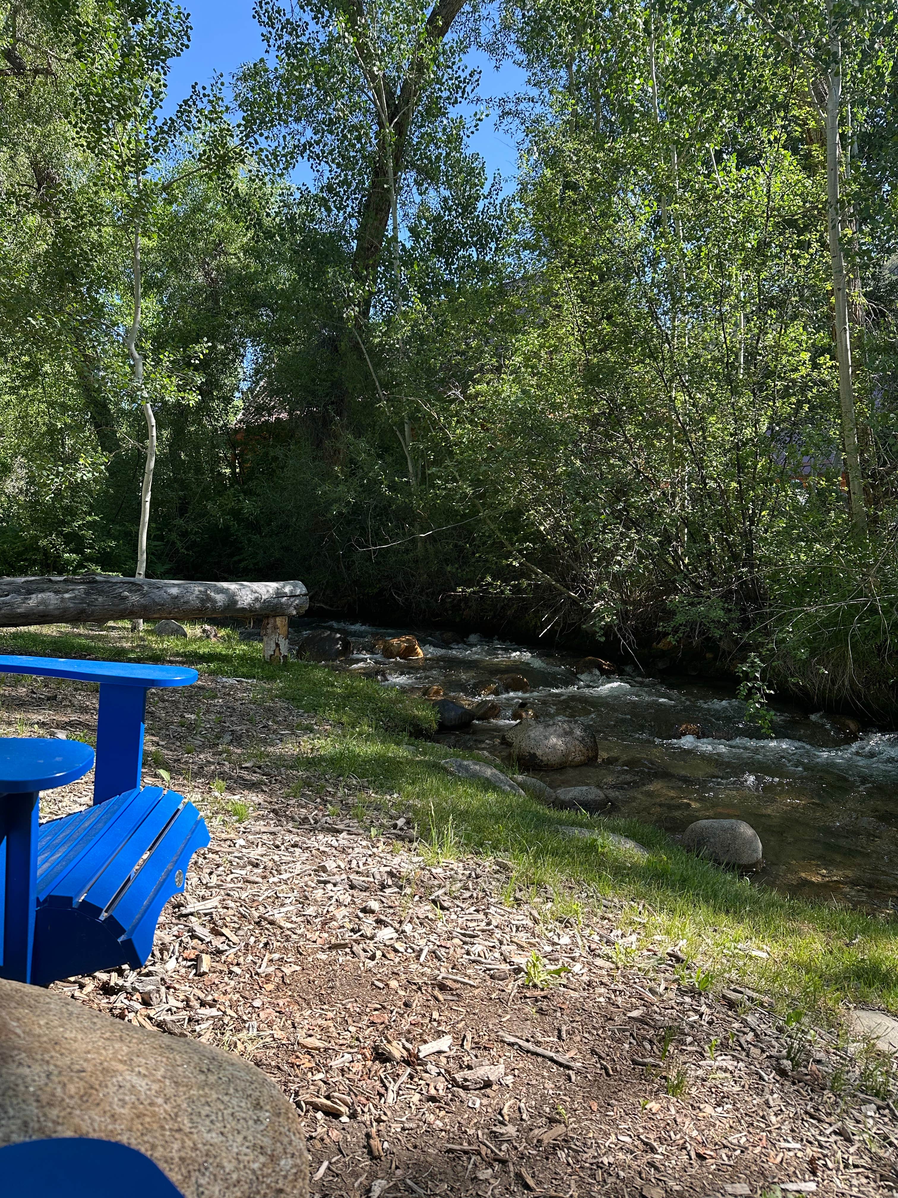 Camper submitted image from Creekside Chalets & Cabins - 5