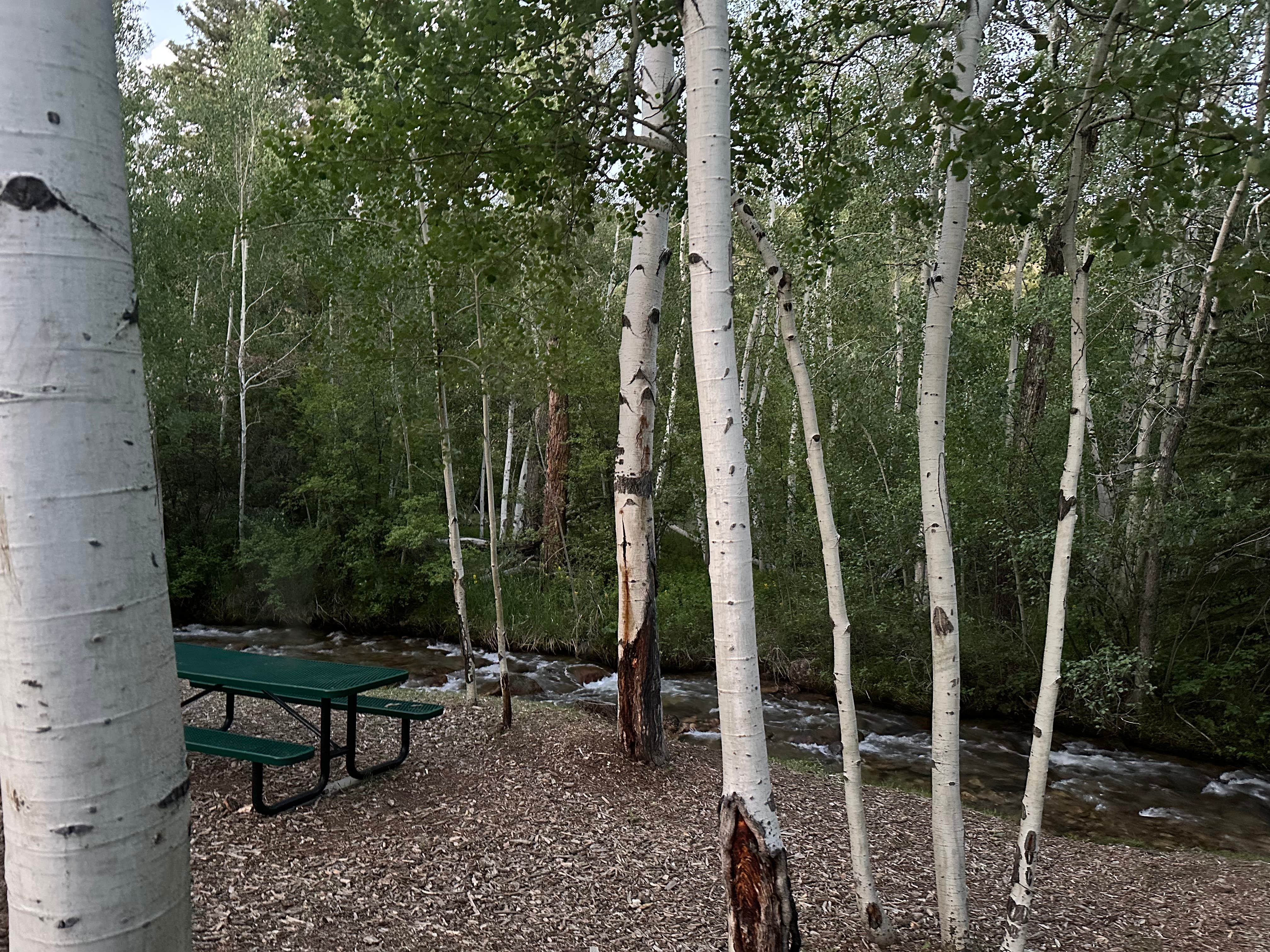 Camper submitted image from Creekside Chalets & Cabins - 2
