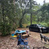 Review photo of Creekside Farm Co. by Taylor C., September 1, 2025