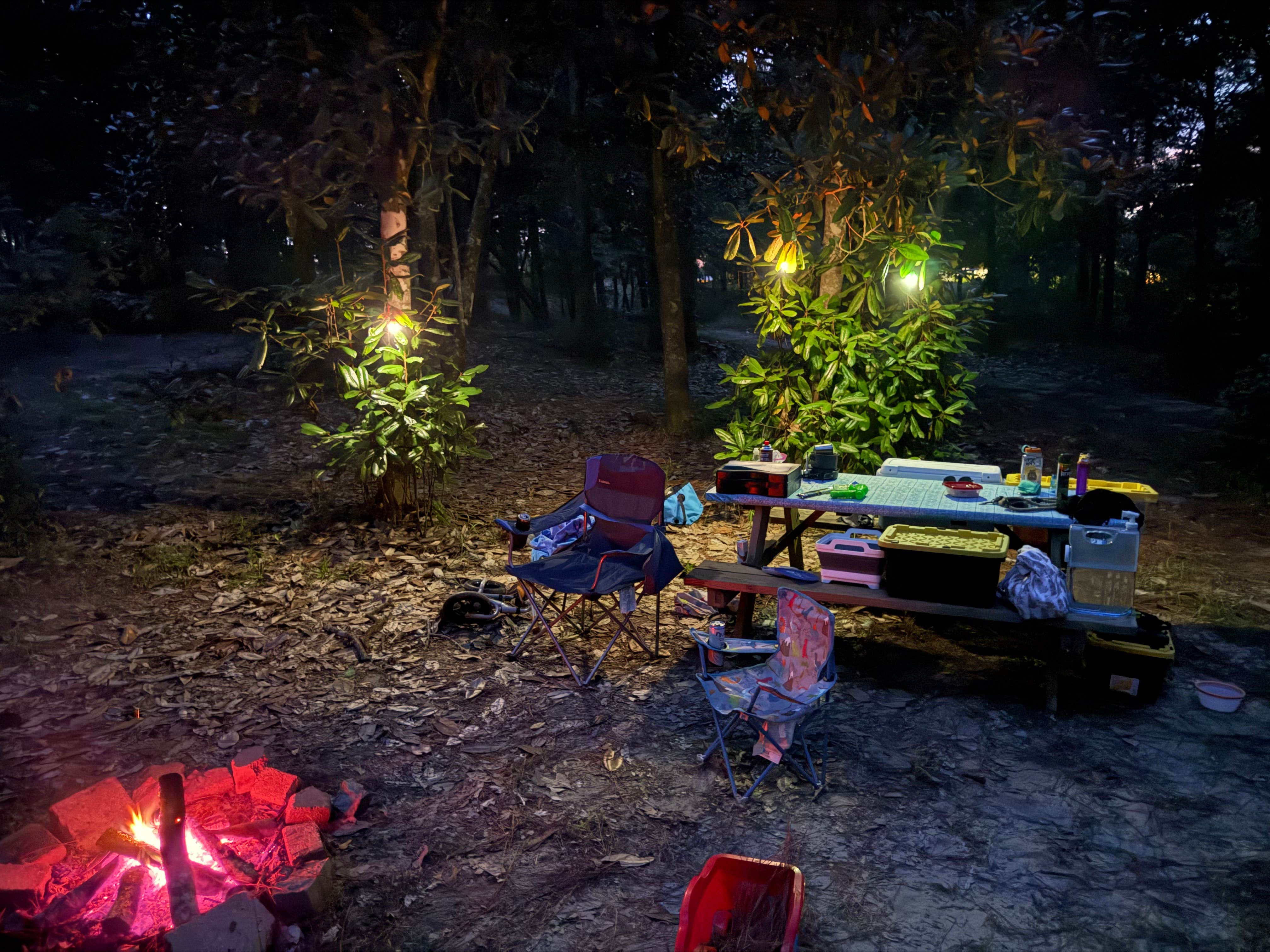 Taylor C.'s photo at Creekside Farm Co. near Bay St. Louis, MS