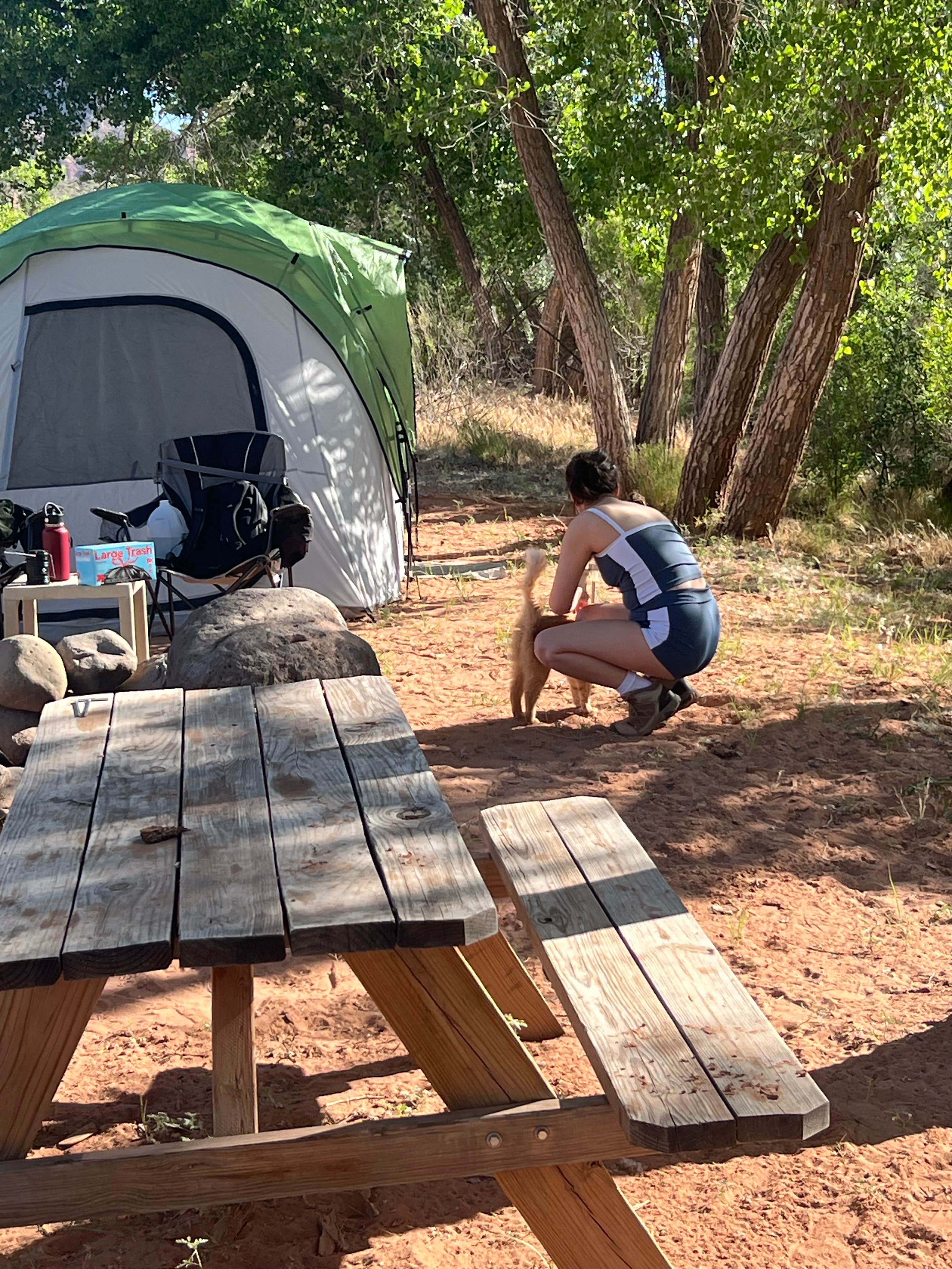 Evan O.'s photo of camping with pets at Kolob Gate Gardens near Zion National Park