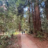 Review photo of Samuel P. Taylor State Park Campground by moni G., January 25, 2026