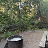 Review photo of Samuel P. Taylor State Park Campground by Jake M., September 22, 2025