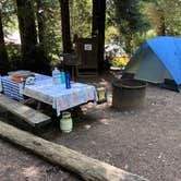 Review photo of Samuel P. Taylor State Park Campground by L , May 9, 2026
