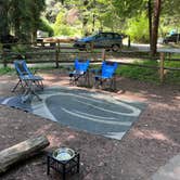 Review photo of Samuel P. Taylor State Park Campground by L , May 9, 2026