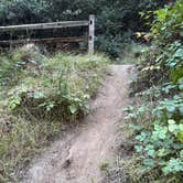 Review photo of Samuel P. Taylor State Park Campground by Jake M., September 22, 2025