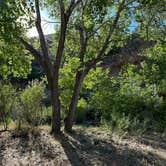 Review photo of Creekside Dispersed Near Zion by Hannah R., May 18, 2024