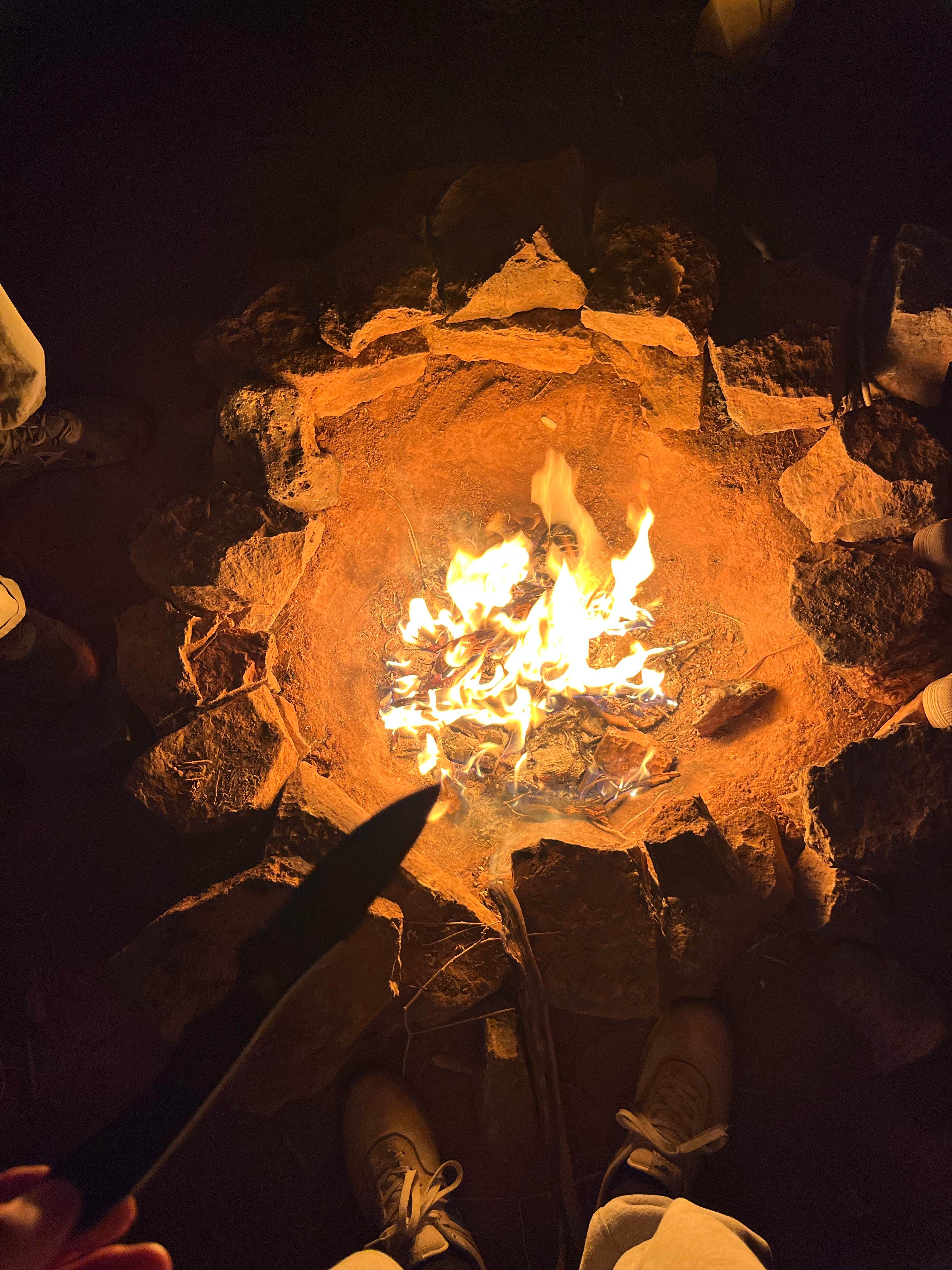 Camping near Kolob Terrace Road: Creekside Dispersed Near Zion, Virgin, Utah