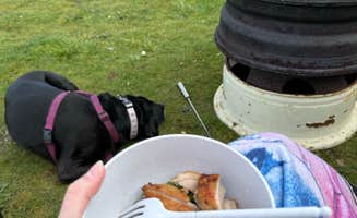 Sharon G.'s photo of camping with pets at Crescent Beach & RV Park near Port Angeles, WA