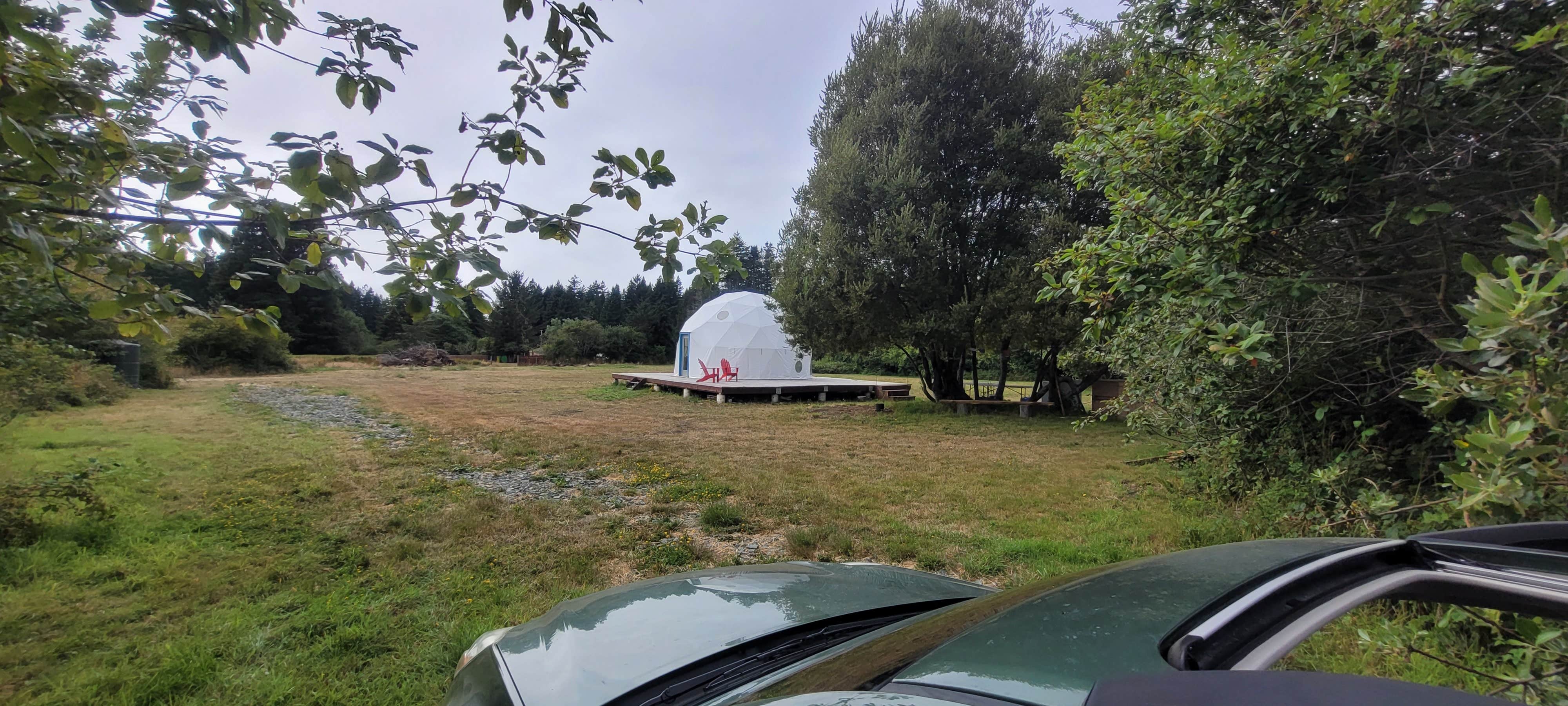 Camper submitted image from Crescent City Camping (Private) - 5