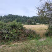 Review photo of Crescent City Camping (Private) by Steve M., July 30, 2024