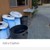 Review photo of Crescent City/Redwoods KOA by Jim C., June 10, 2024