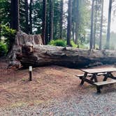 Review photo of Crescent City/Redwoods KOA by january K., October 21, 2026