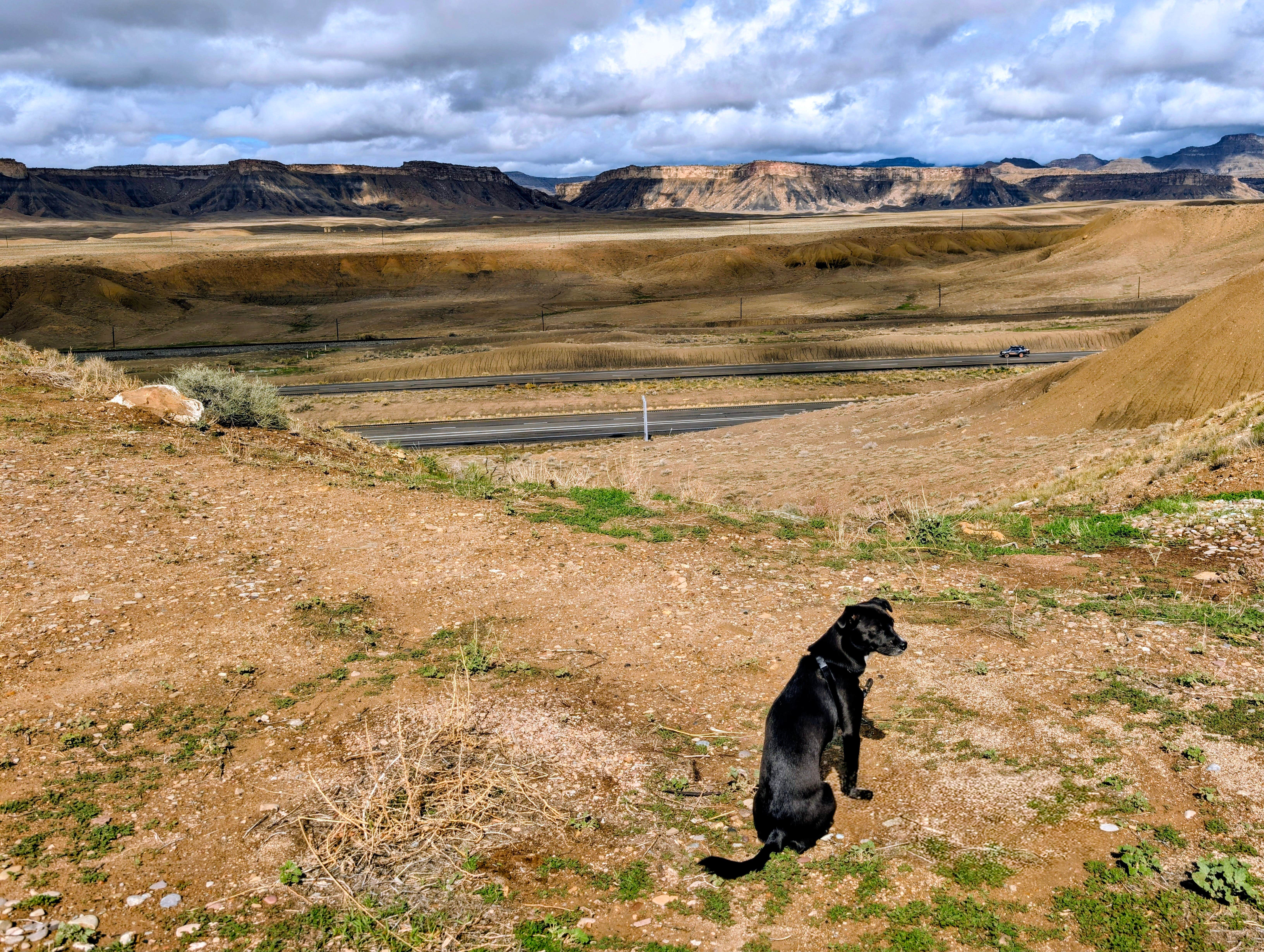 Jessica K.'s photo of camping with pets at Crescent Junction Rest Area I-70 near Green River, UT