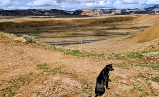 Jessica K.'s photo of camping with pets at Crescent Junction Rest Area I-70 near Green River, UT