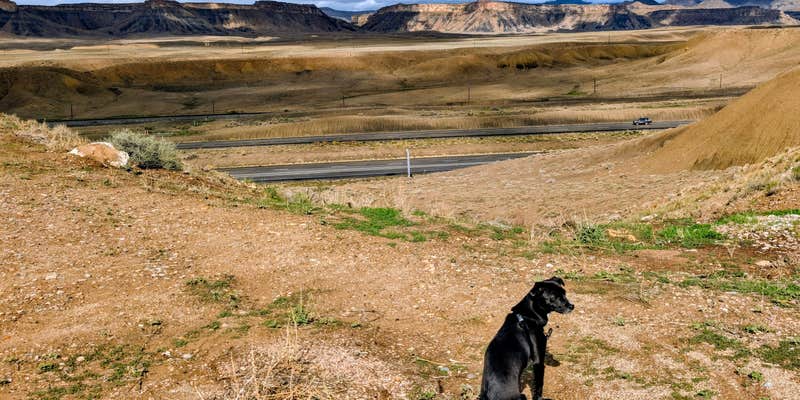 Camper submitted image from Crescent Junction Rest Area I-70