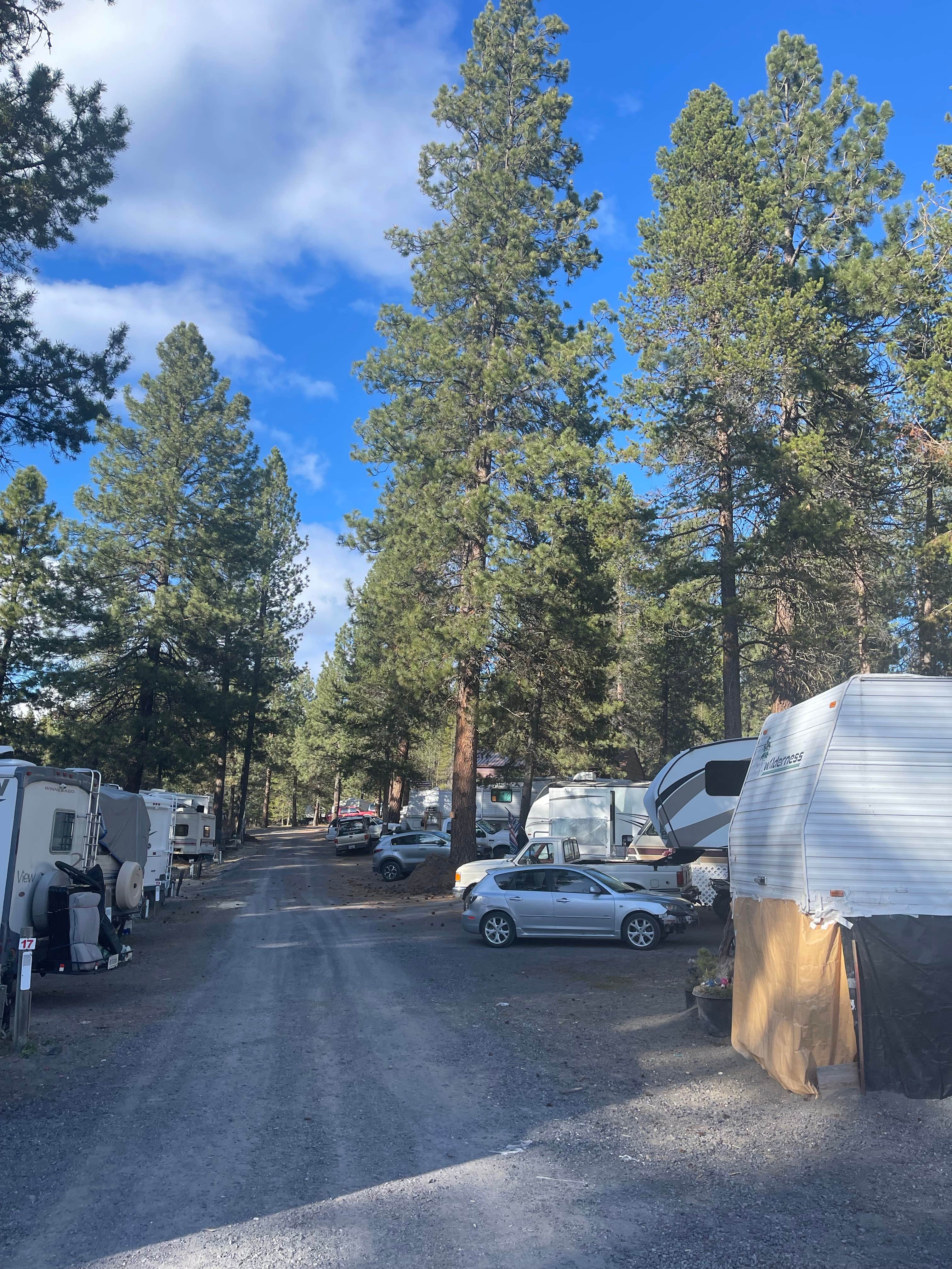 Camper submitted image from Crescent RV Park - 1