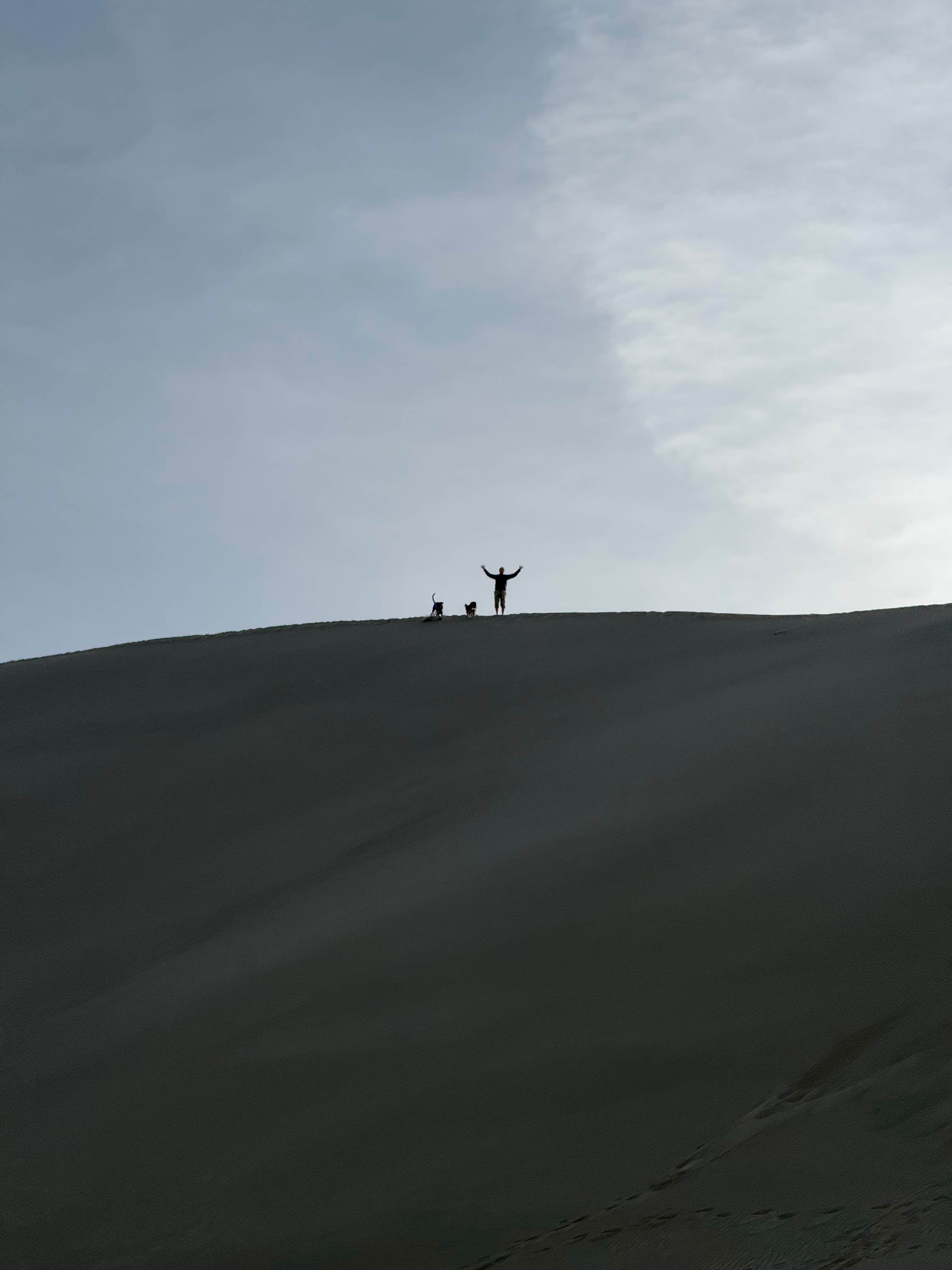 Camper-submitted photo at Crescent Sand Dunes near Tonopah, NV