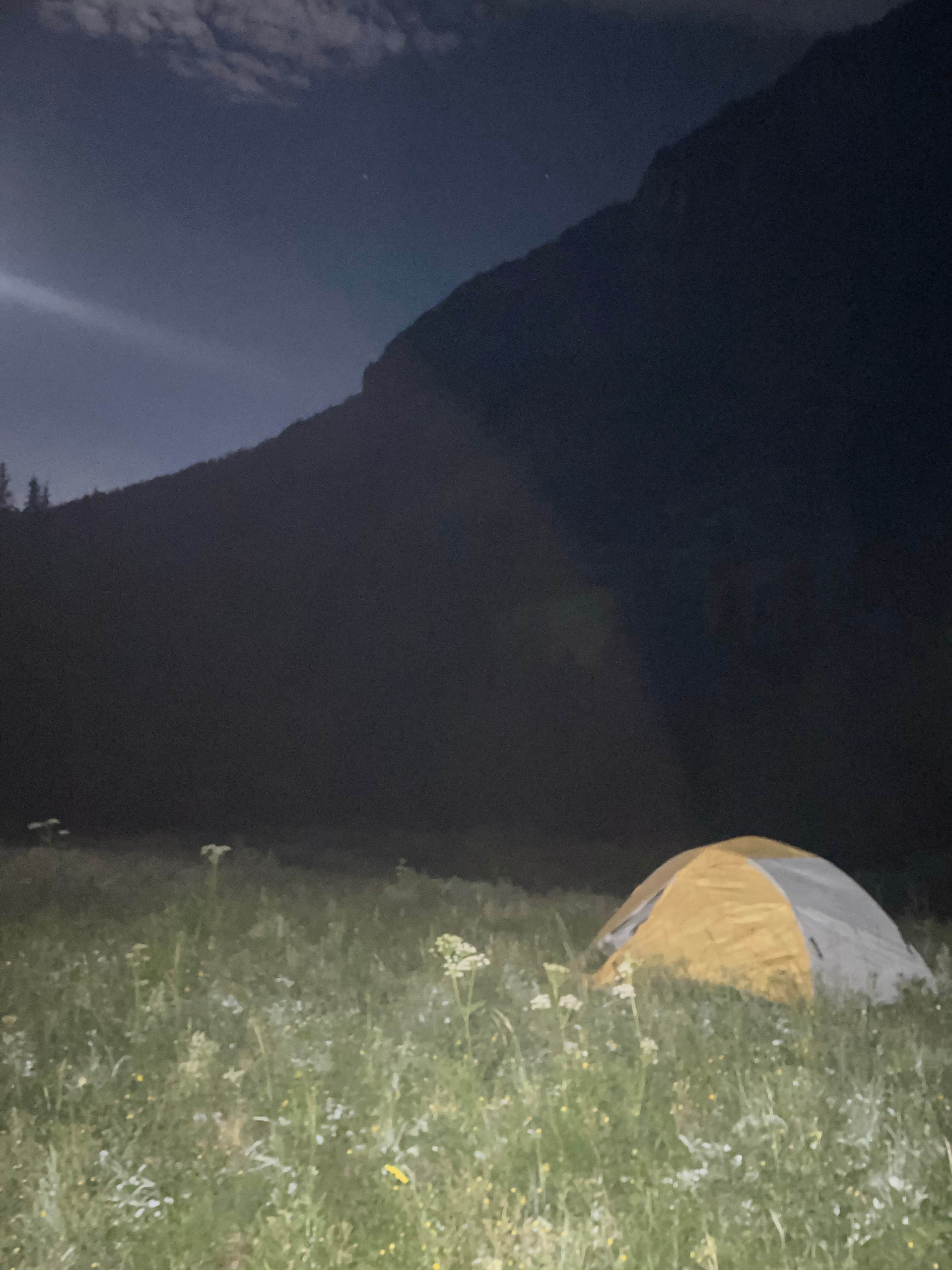 Camper submitted image from Crested Butte - Gothic dispersed camping - 3