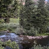 Review photo of Crested Butte - Gothic dispersed camping by Mary P., July 21, 2024