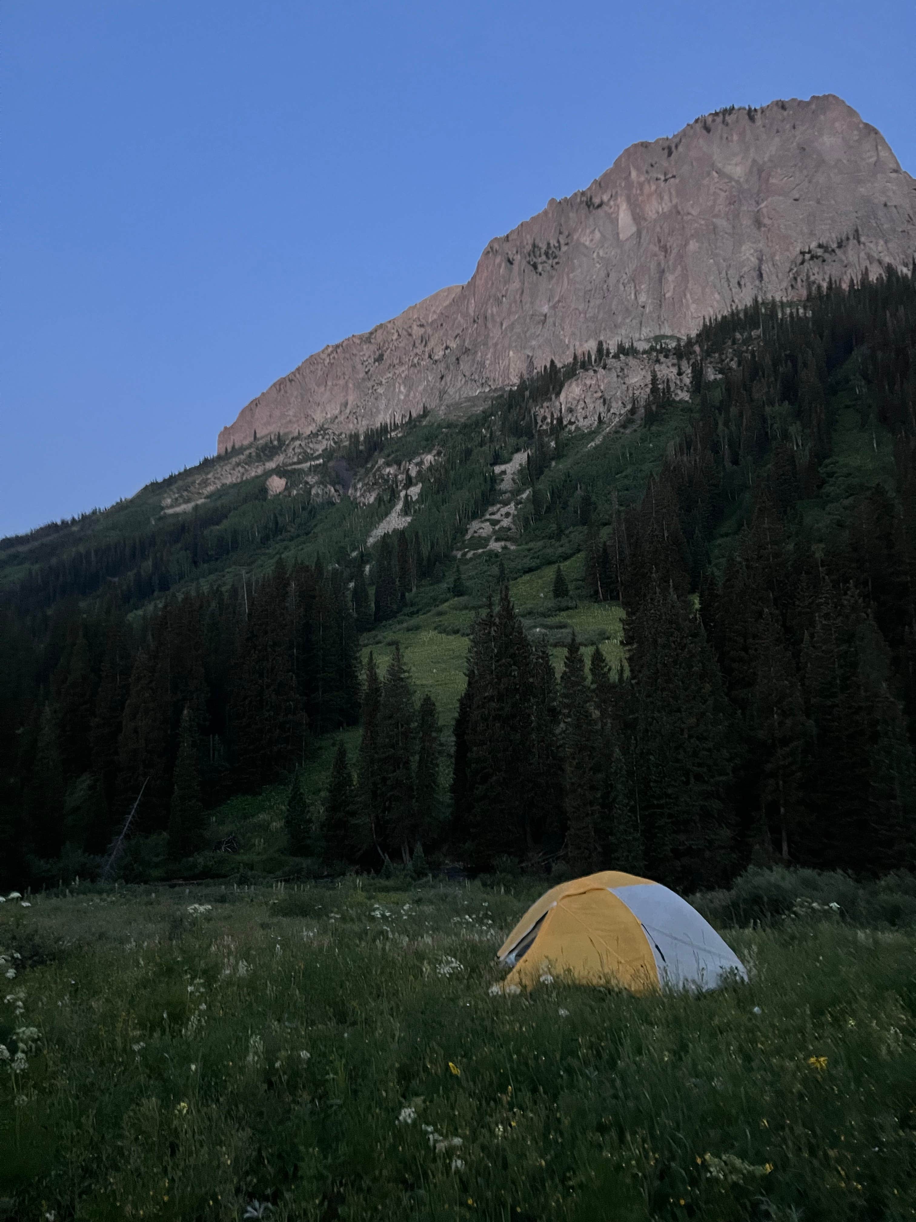 Camper submitted image from Crested Butte - Gothic dispersed camping - 4