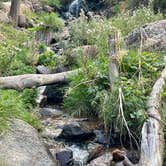 Review photo of Cripple Creek BLM Area by Juliana J., October 14, 2026
