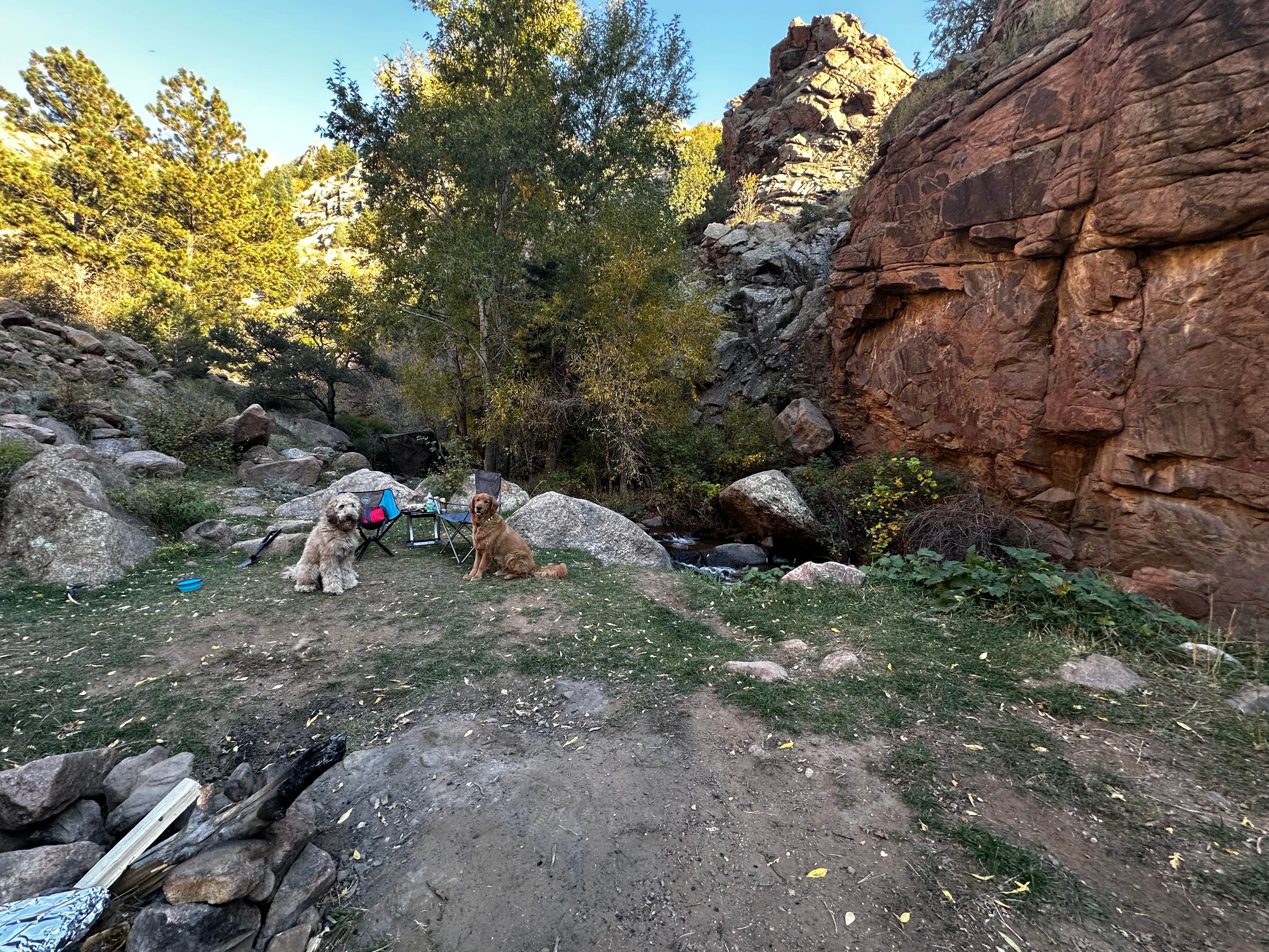 Camper-submitted photo at Cripple Creek BLM Area near Florence, CO