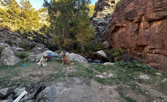 andrew G.'s photo of camping with pets at Cripple Creek BLM Area near Guffey, CO