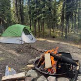 Review photo of Cripple Creek Campground by Andrew K., June 7, 2026