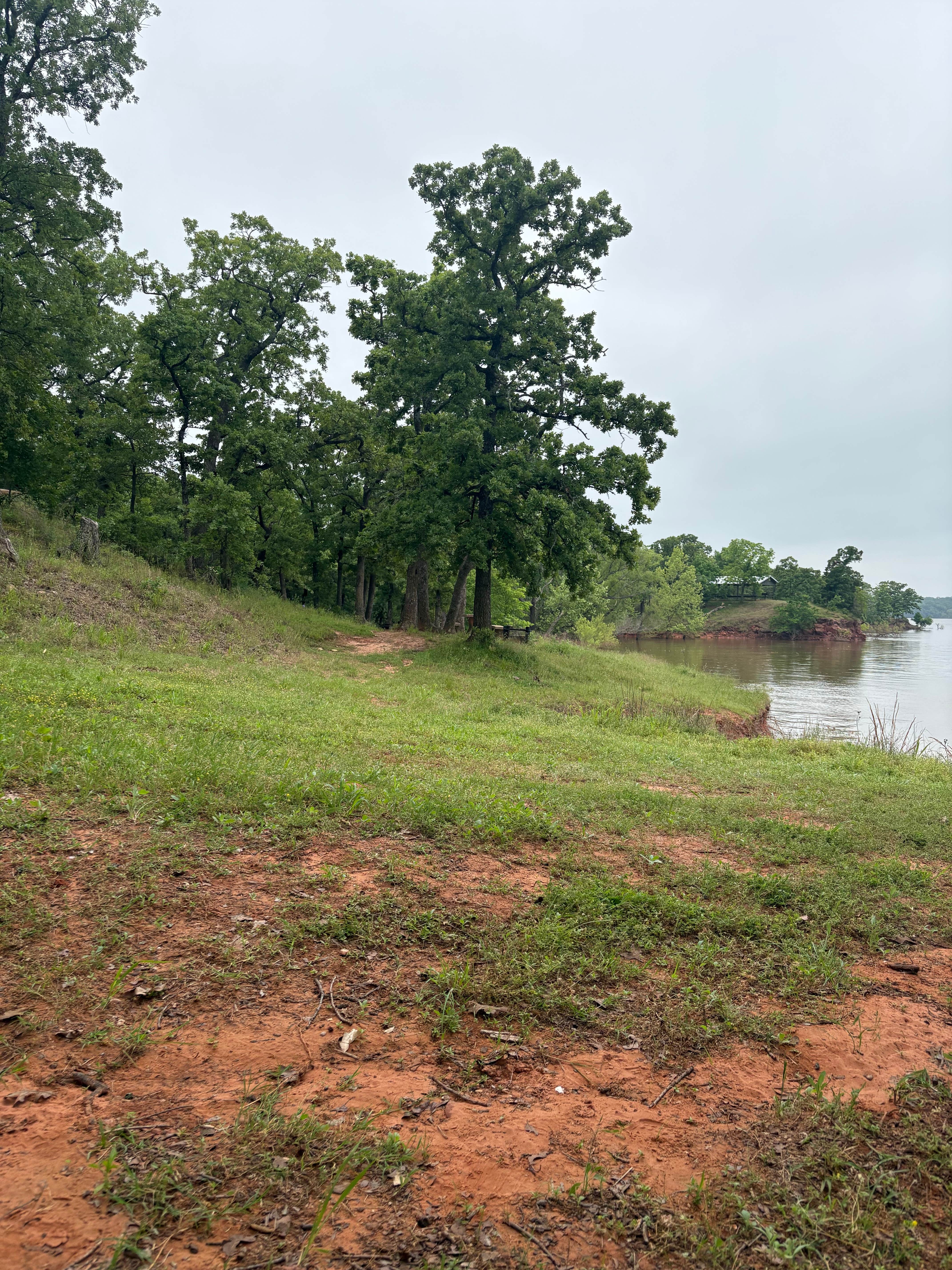 Camper submitted image from Critter Alley — Lake Thunderbird State Park - 1