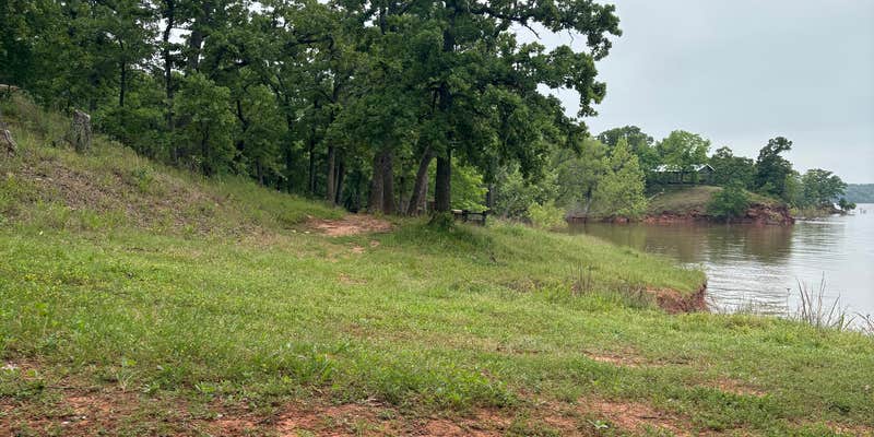 Camper submitted image from Critter Alley — Lake Thunderbird State Park