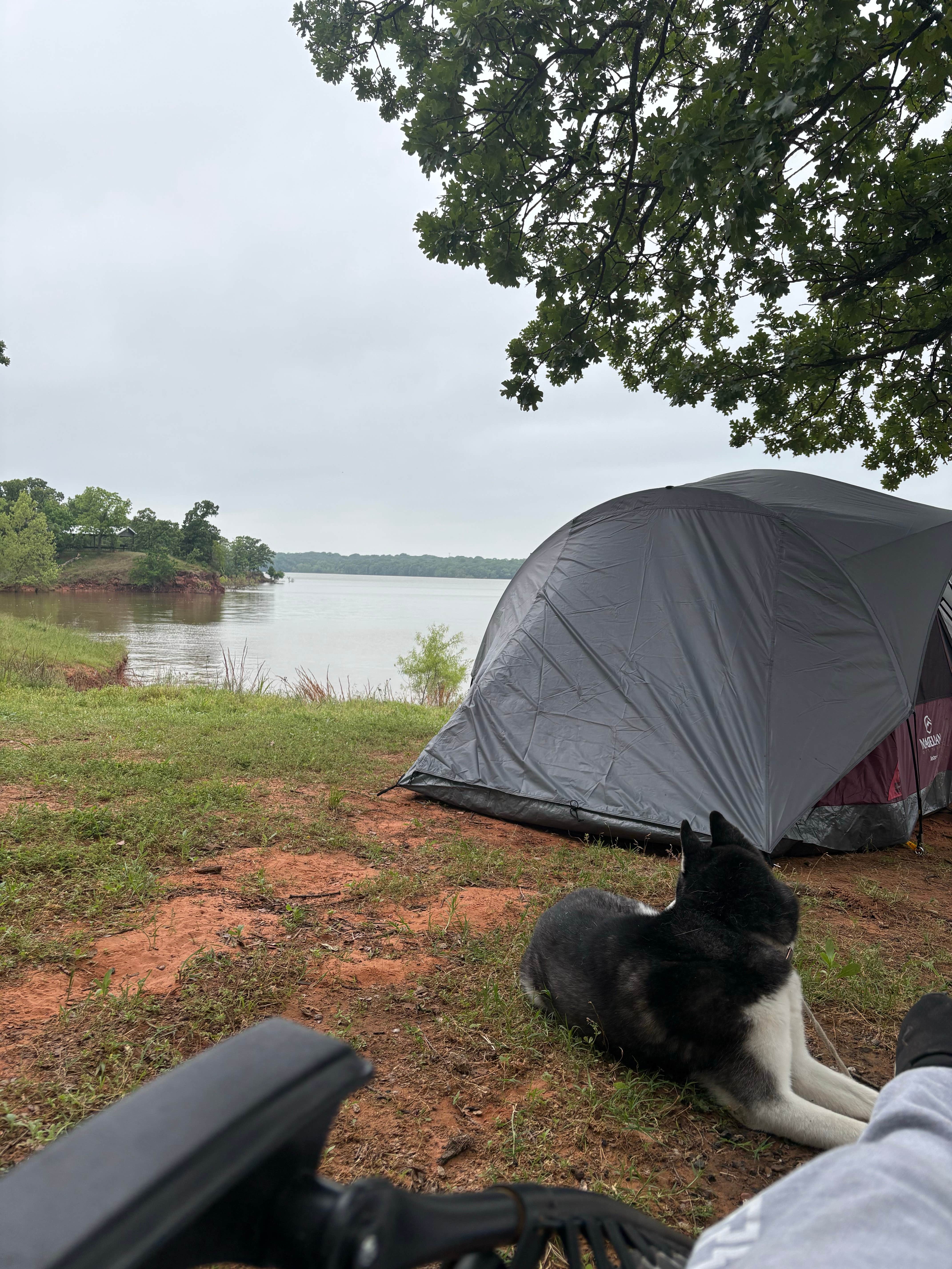 Camper-submitted photo at Critter Alley — Lake Thunderbird State Park near Goldsby, OK