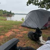 Review photo of Critter Alley — Lake Thunderbird State Park by Madison G., May 18, 2025
