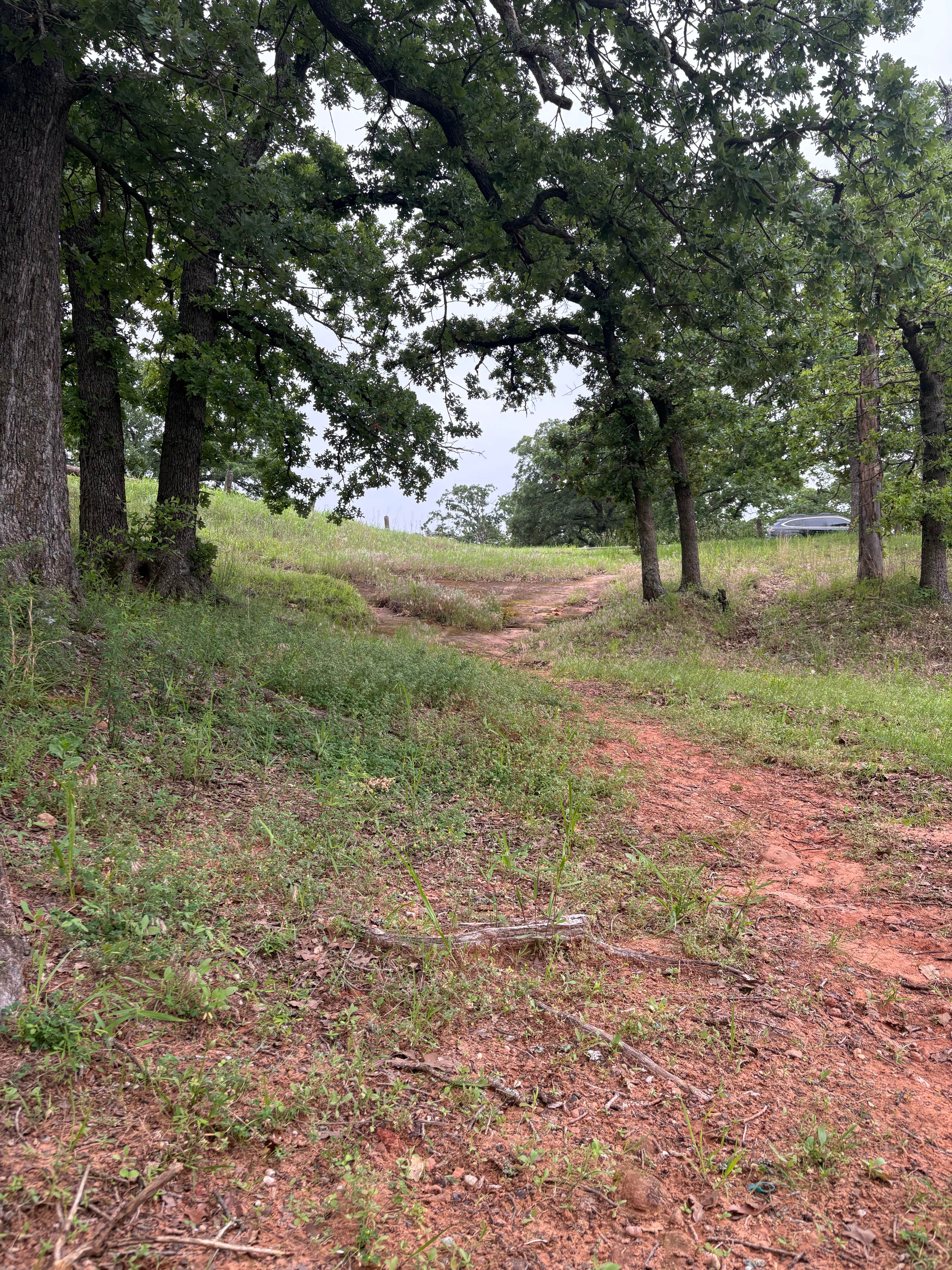 Camper-submitted photo at Critter Alley — Lake Thunderbird State Park near Goldsby, OK